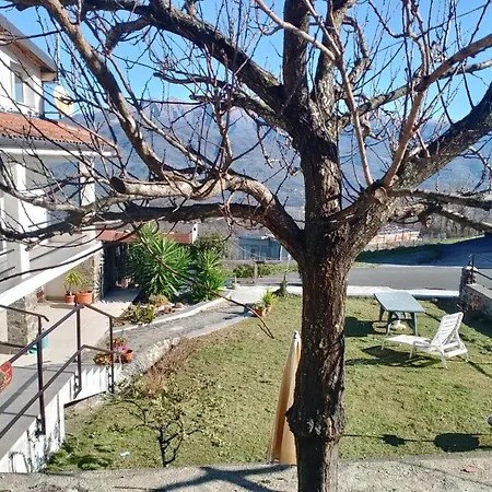 Da Rosy-2